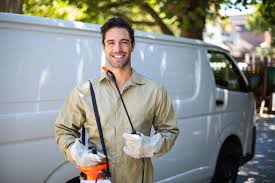 Best Termite Inspection and Treatment  in Russell, GA